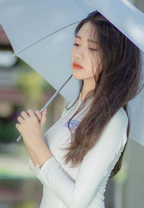 电视剧免费观看全集高清